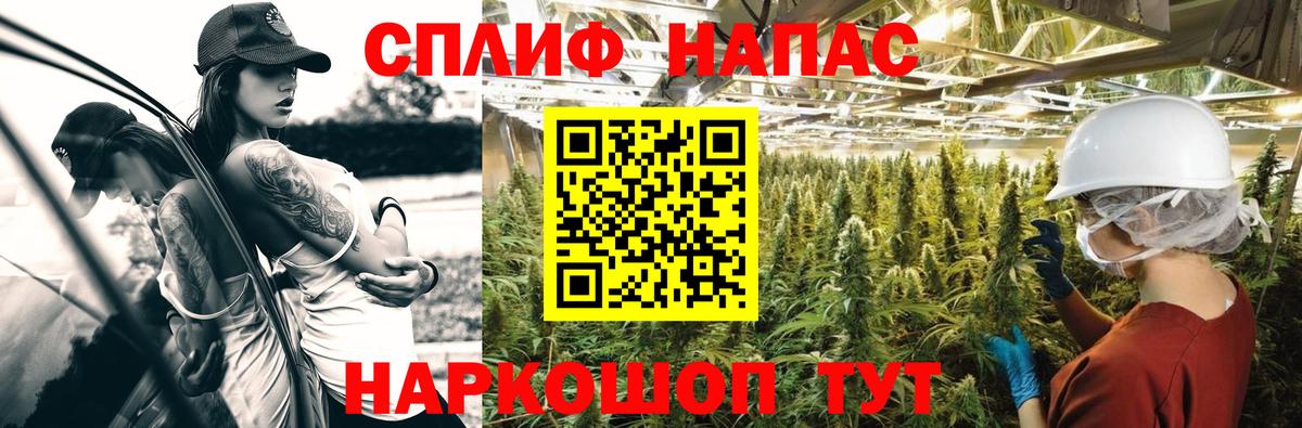 Искитим  Каннабис Amnesia  Вход с VPN  Бошки марихуана сатива 
